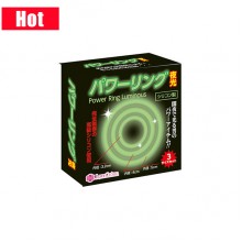 日本 WINS 夜光持久環