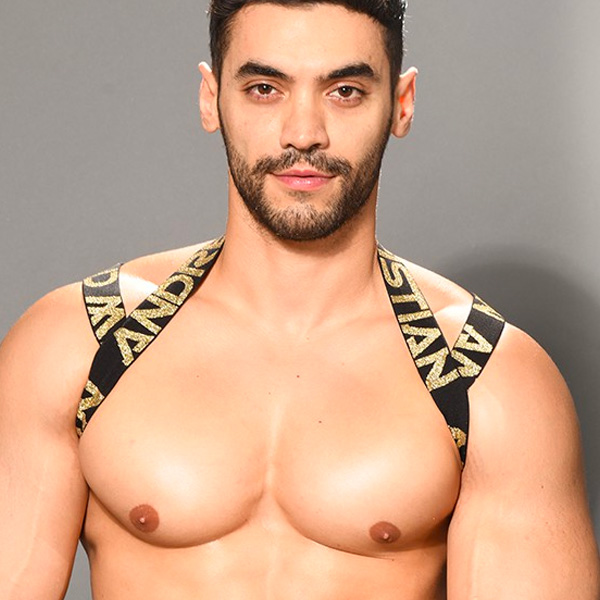 Andrew Christian Glam Harness