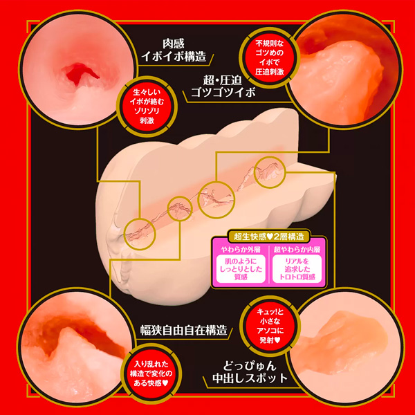 小宵虎南 名器  EXE - Japanese Real Hole 生 飛機杯
