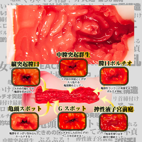 NPG - 新來的女教師 五十嵐夏 飛機杯