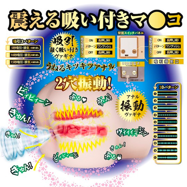 真性 極上生腰 橋本有菜 飛機杯