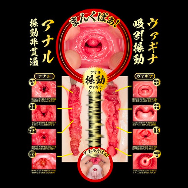 真性 極上生腰 橋本有菜 飛機杯