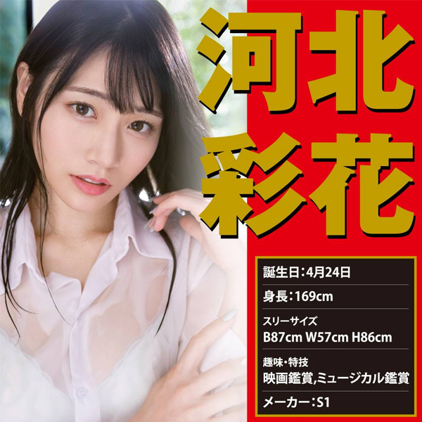 河北彩花 名器  EXE - Japanese Real Hole 生 飛機杯