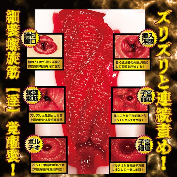 新井里真 飛機杯