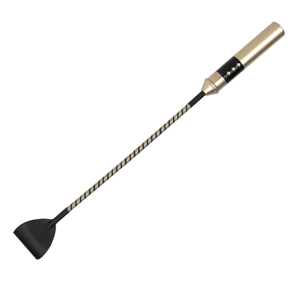 Roomfun Passionate Electric Whip