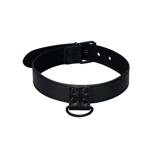 LoveToy Bondage Fetish Black Matt Collar With Leash